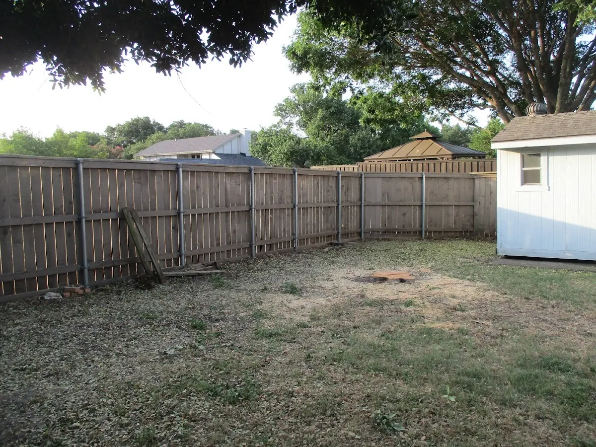 Cleared yard after professional tree removal in Hot Springs Village