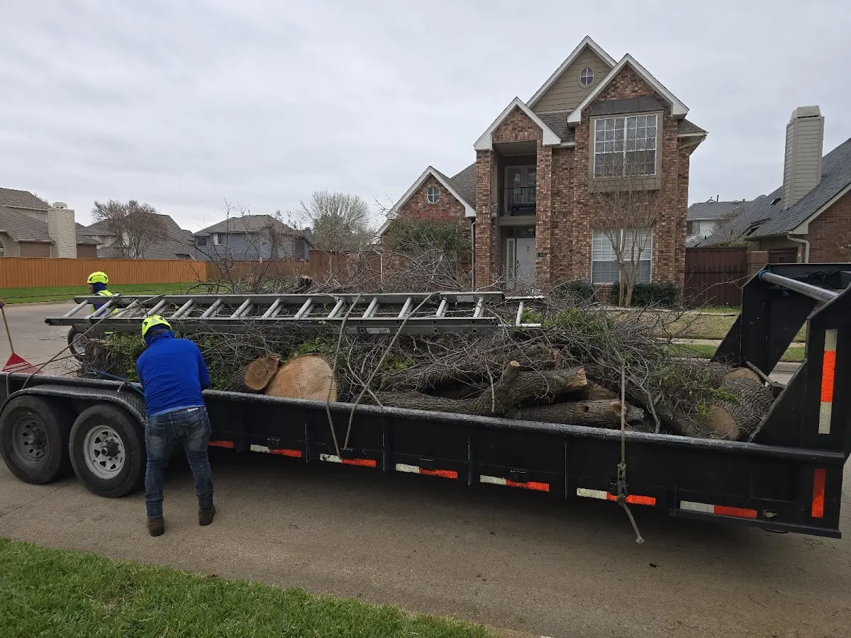 Expert Tree Removal with proper safety equipment in Hot Springs Village